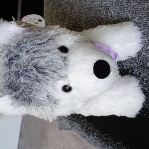 Siberian Husky stuffed animal